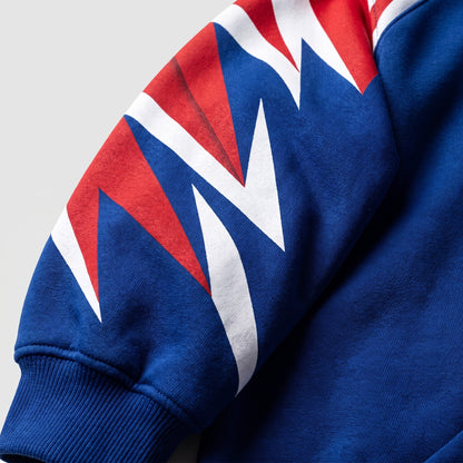 New York Giants detail 3