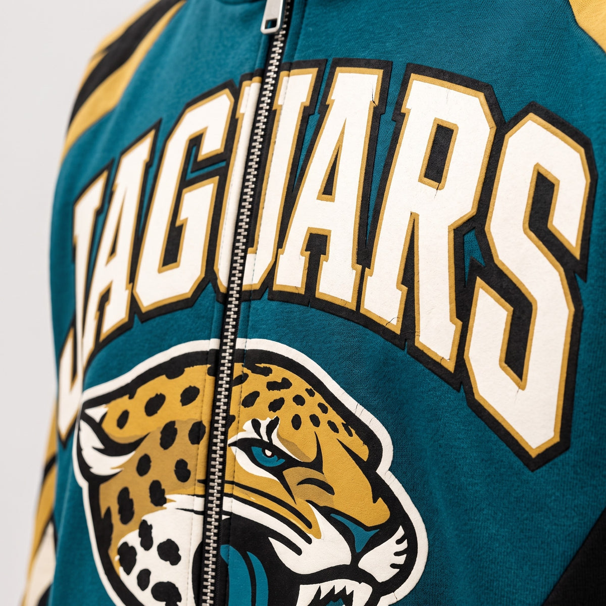 Jacksonville Jaguars detail 2
