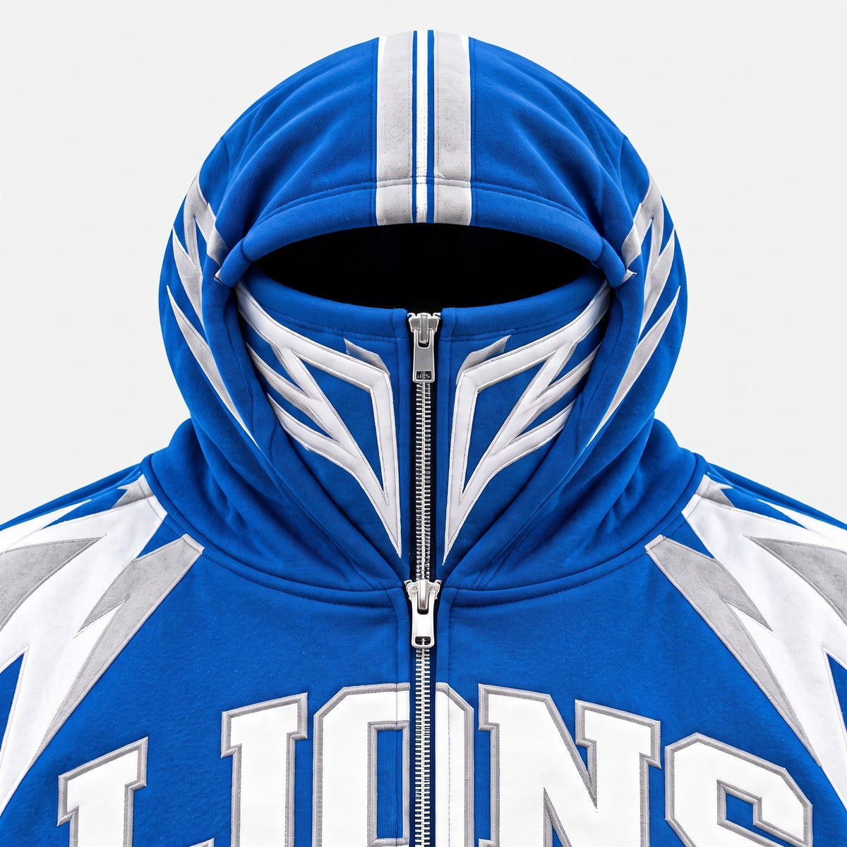 Detroit Lions detail 1