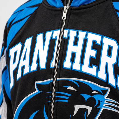 Carolina Panthers detail 2