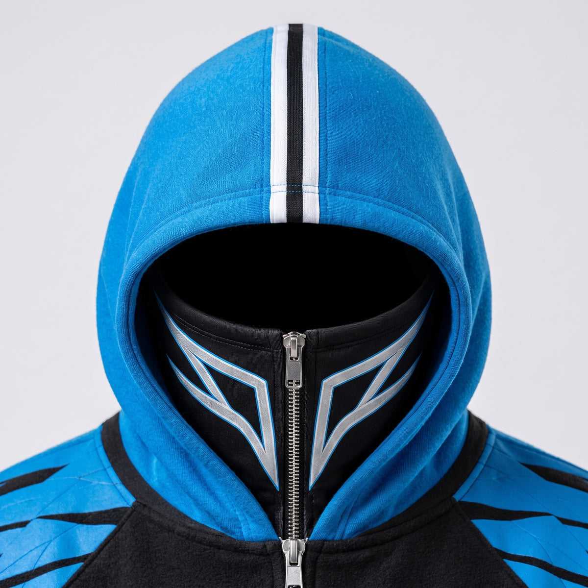 Carolina Panthers detail 1