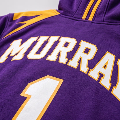 Minnesota Vikings detail 4